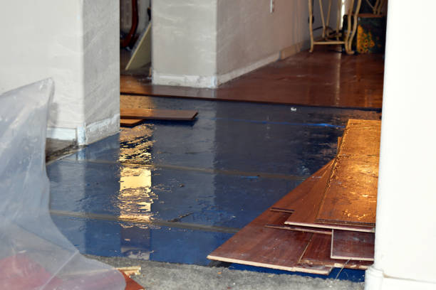 Professional Sewage Cleanup technician working in Solomon, KS